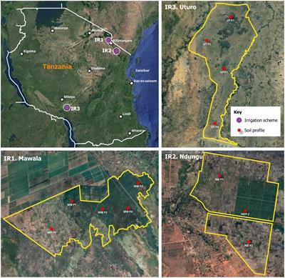 Assessment of salt-affected soil in selected rice irrigation schemes in Tanzania: understanding salt types for optimizing management approaches